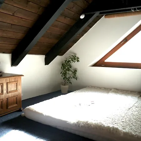 Drevarska Chalet *